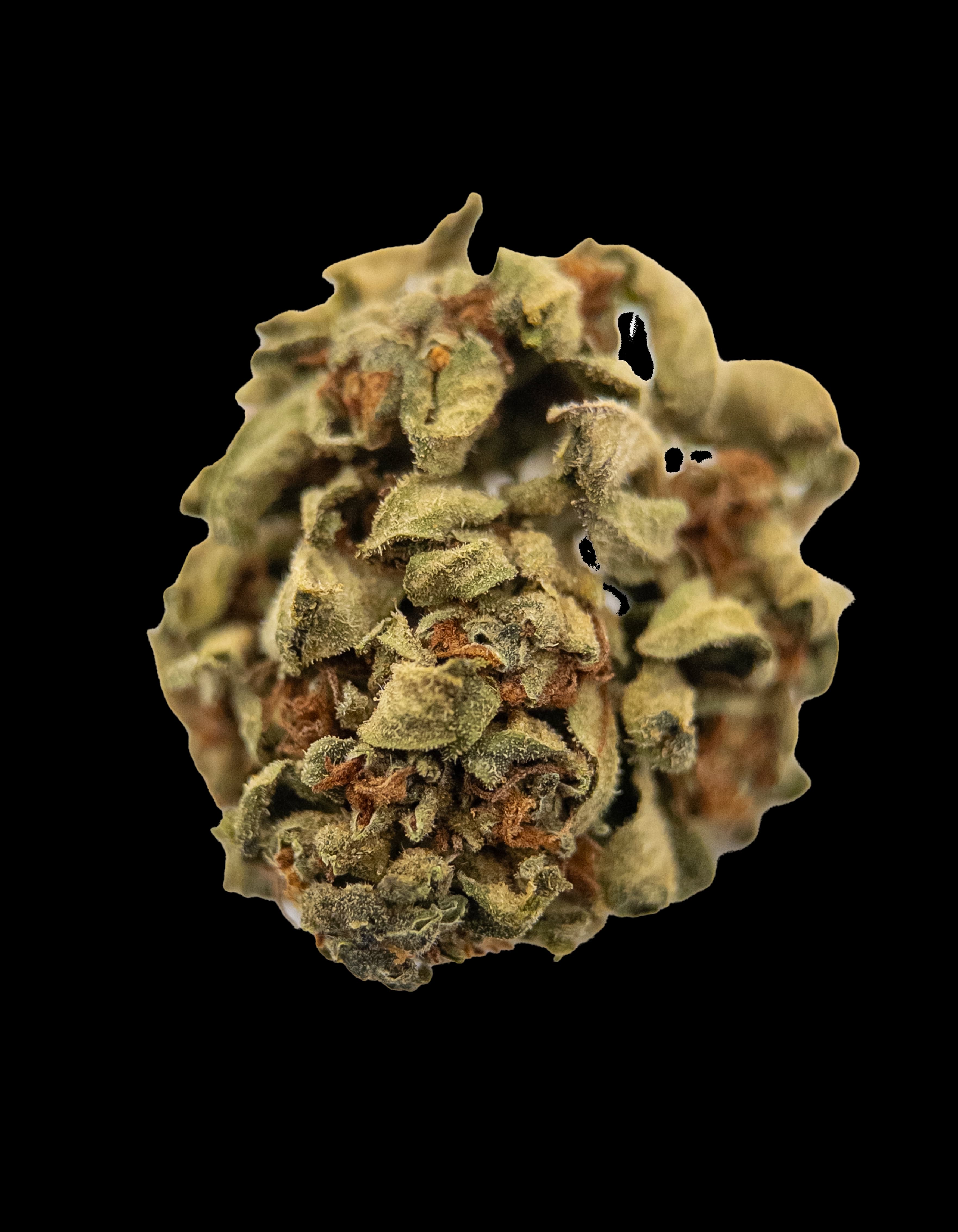 Edge Crusher Flower