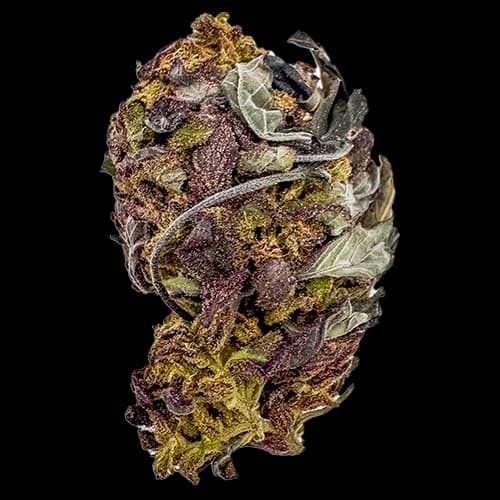 Edge Crusher Flower
